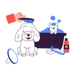 Pet Grooming